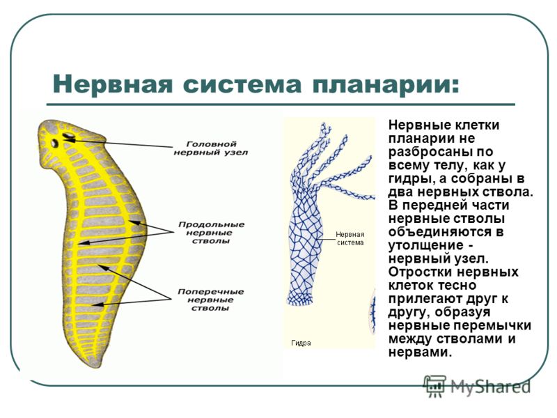 Кракен маркет даркнет тор