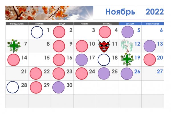 Только через тор кракен