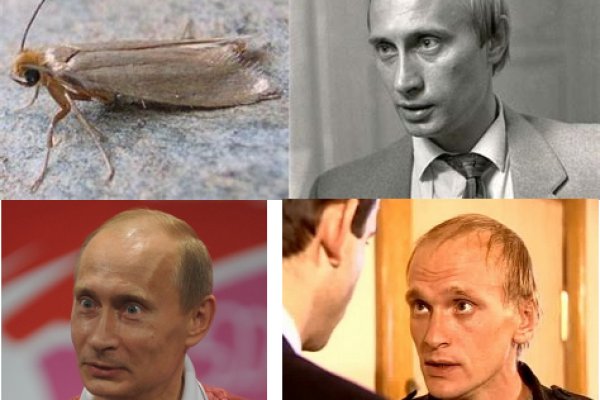 Тор браузер кракен